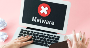 Jenis Malware: Segala Hal yang Perlu Anda Ketahui